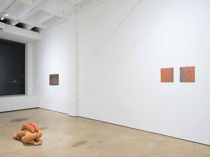 A Land to Fall Sleep, installation view