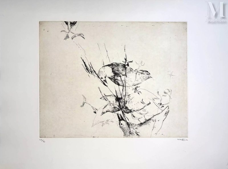 Marjan Seyedin, Birds, 0