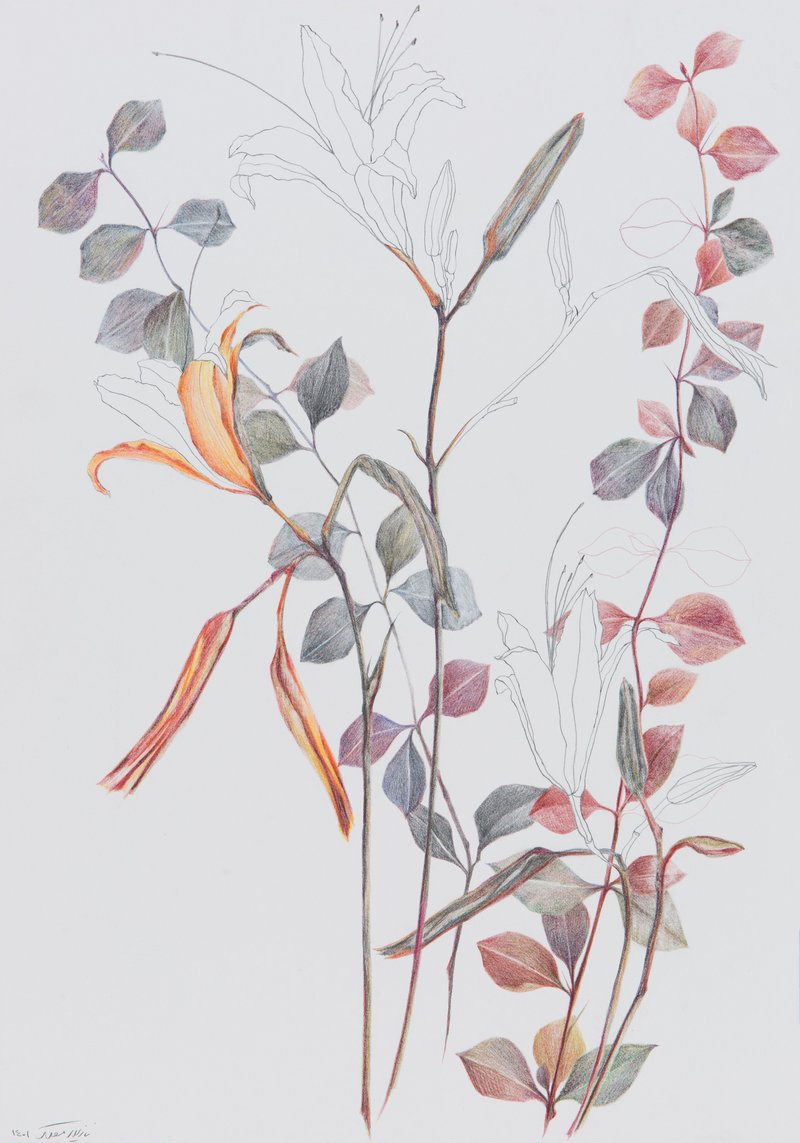Nazila Moghadam, Untitled, 2022