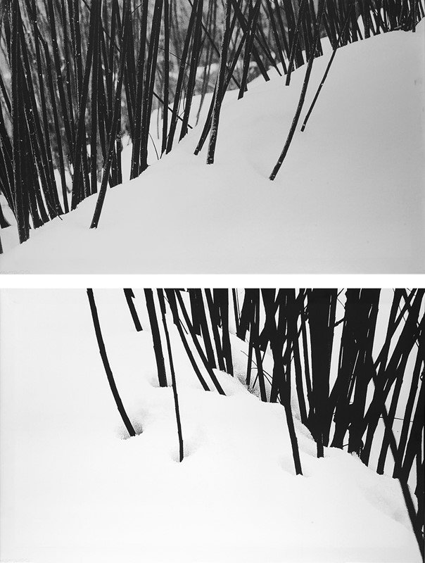 Abbas Kiarostami, Snow No. 50-51, 2003