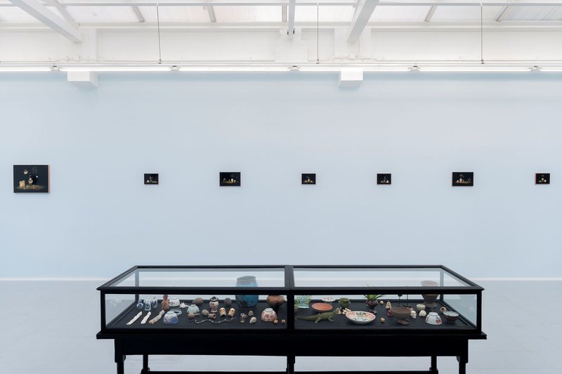 Cyanide, installation view