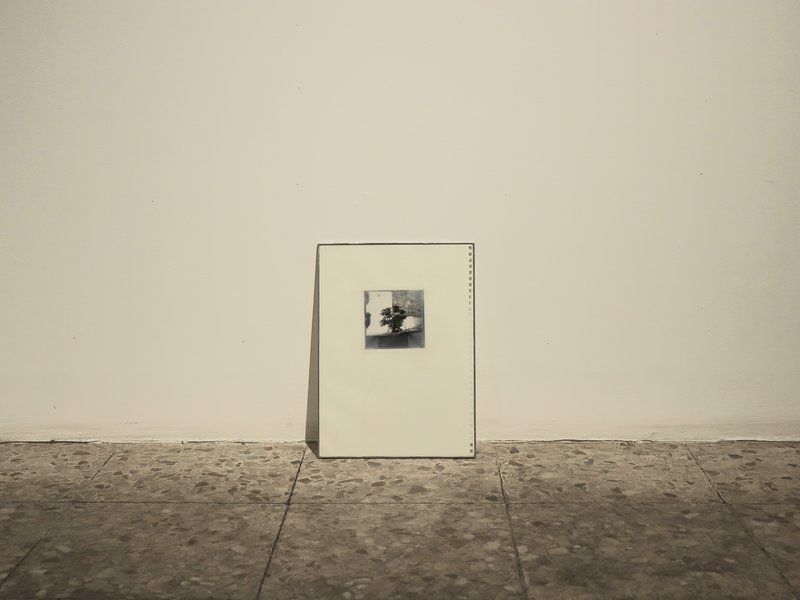 Darmangah, installation view