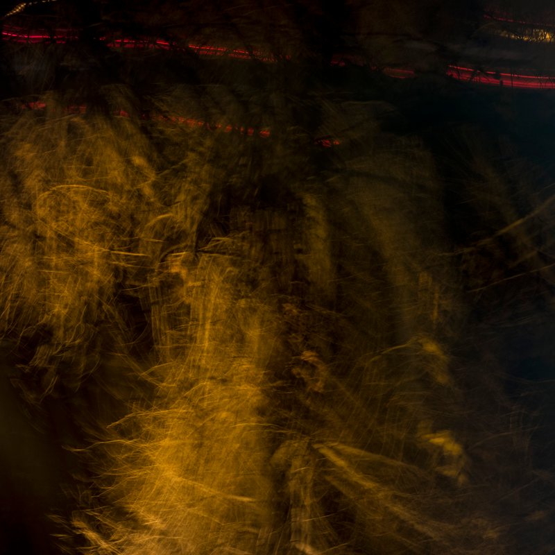 Mehran Mohajer, Behind the Campus, 2018