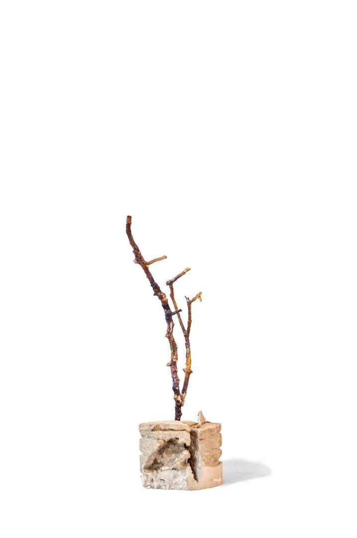 Hedie Khanali, Untitled, 2020