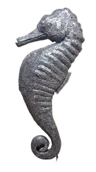 Majid Mohseni, Seahorse, 2019