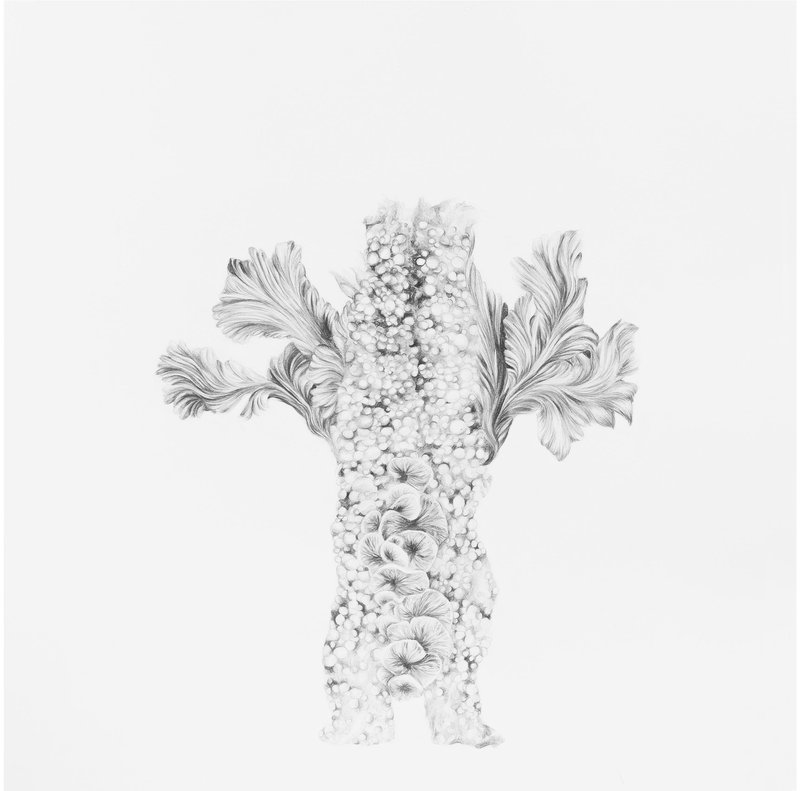 Tara Azarm, Untitled, 2024