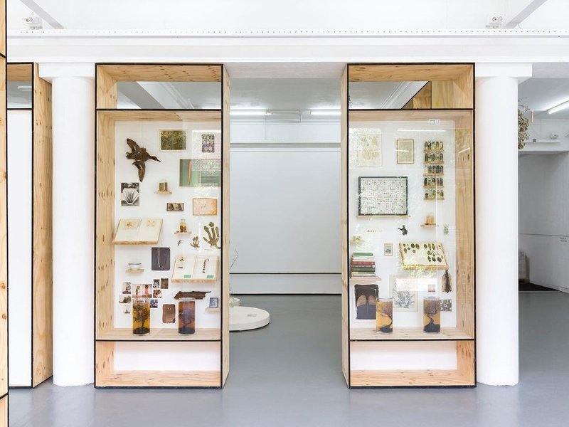 Is It Possible to Be a Revolutionary and Like Flowers?, installation view