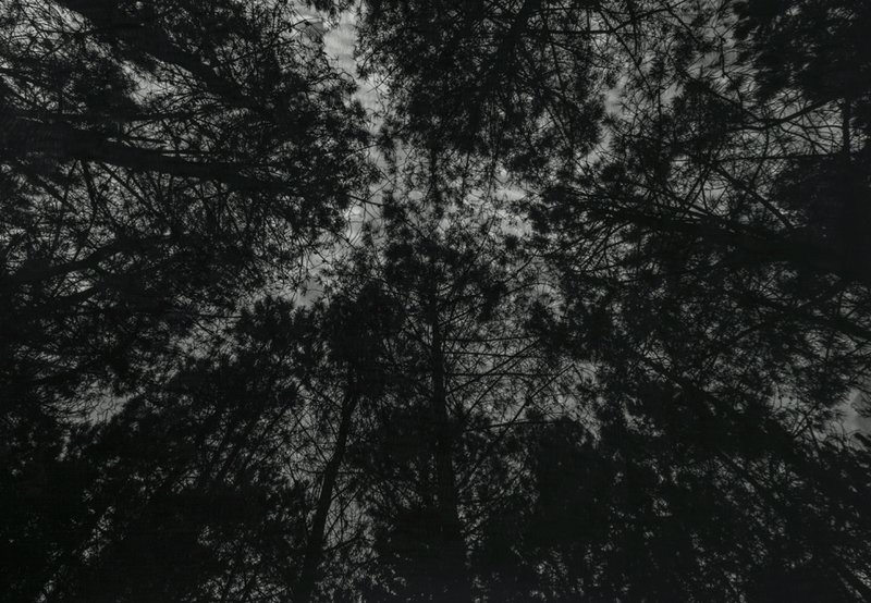 Omid Mehdizadeh, Untitled, 2021