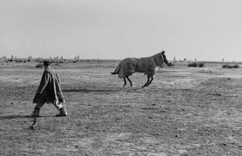 ساسان مویدی، شماره‌ی ۱