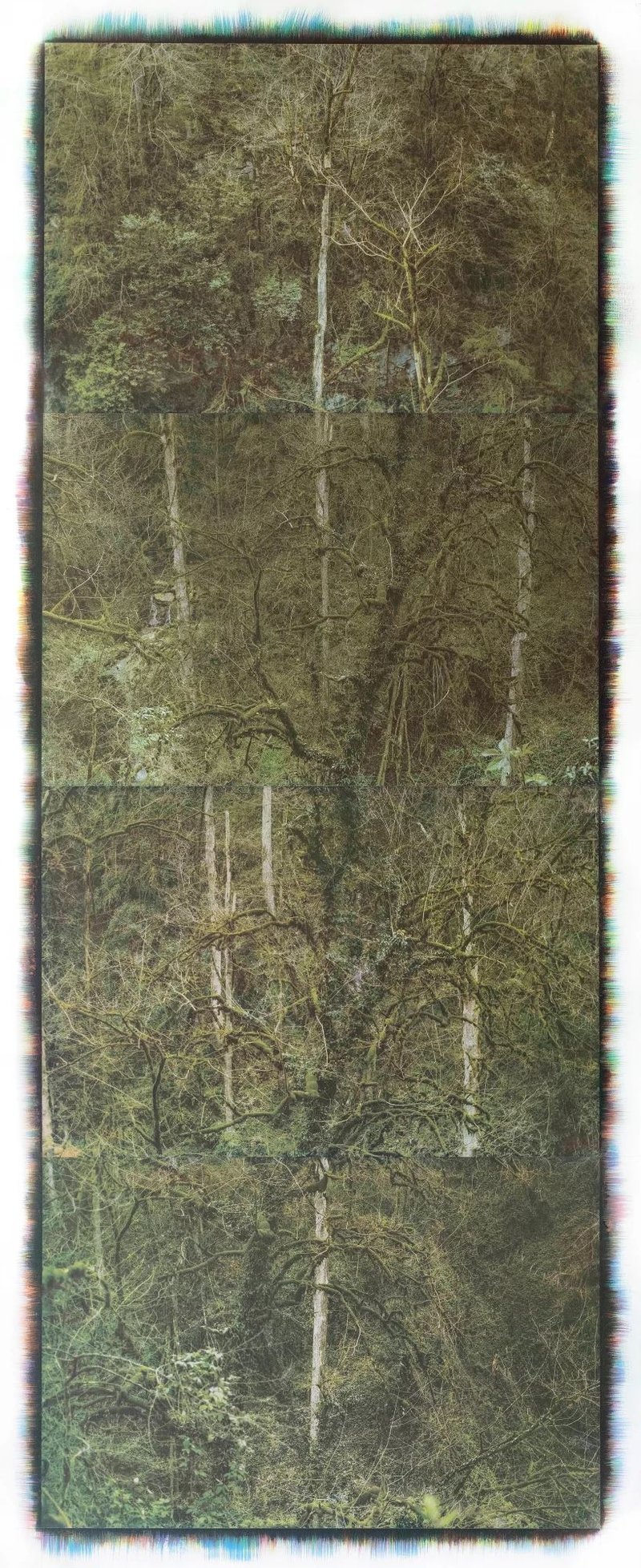 Mehrali Razaghmanesh, Untitled, 2020