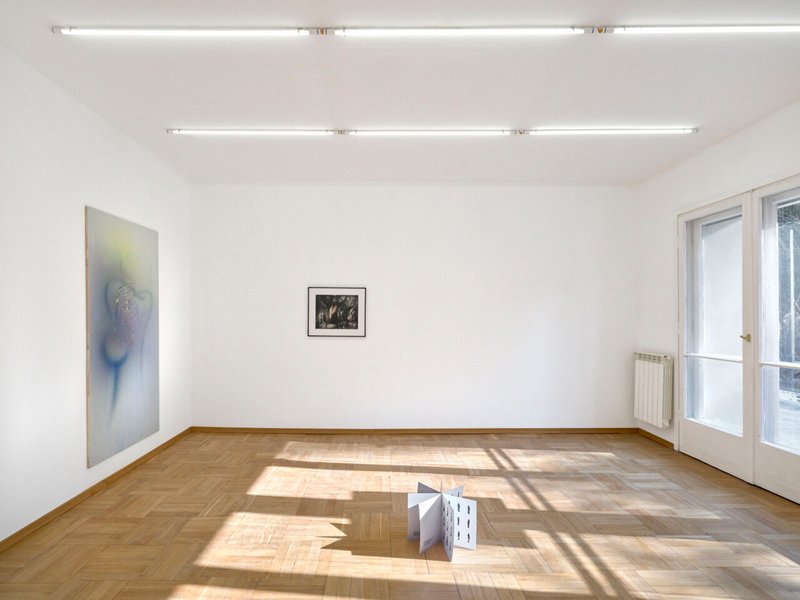 Why Not Here?, installation view