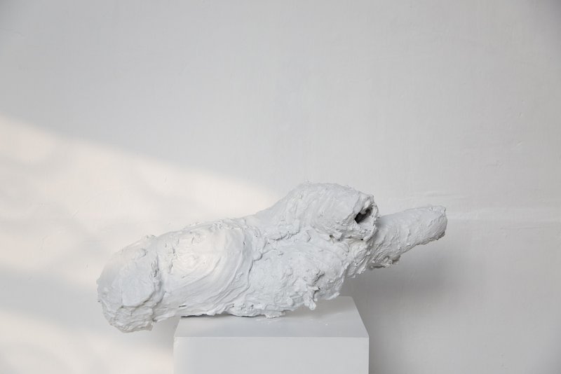 Bita Fayyazi, Untitled, 2020