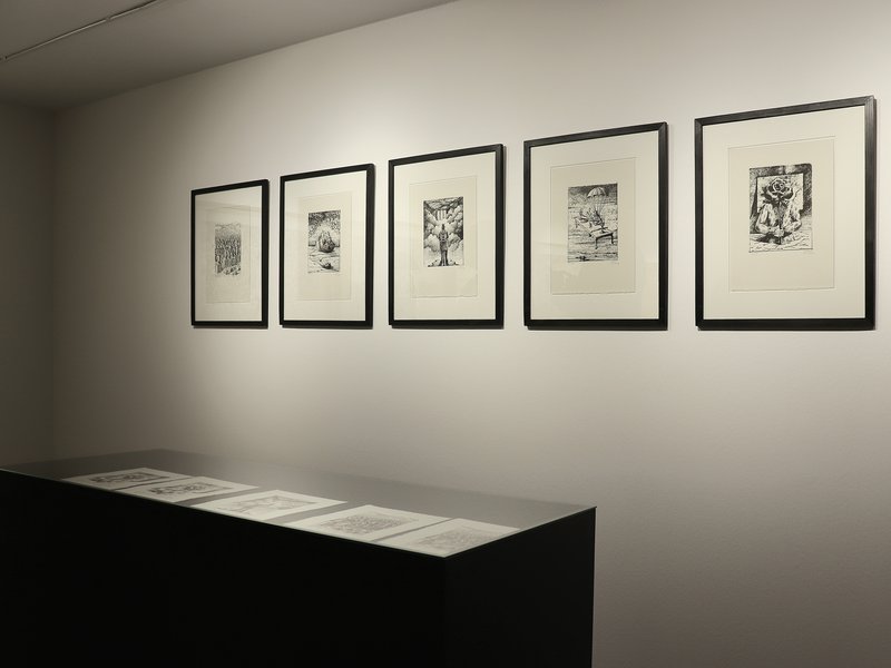 Akbar, installation view