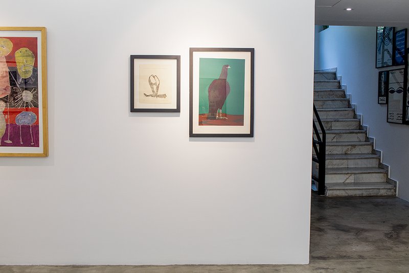 Virus of Collecting, installation view