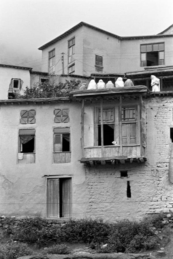 Sasan Moayyedi, Untitled, 1981