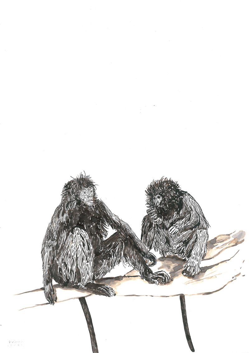 Keiman Mahabadi, Untitled, 2021