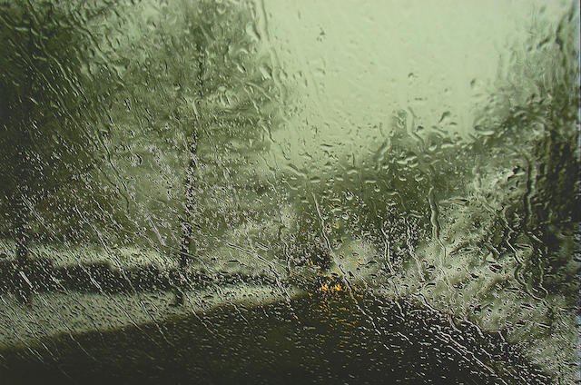 Abbas Kiarostami, Untitled, 2005