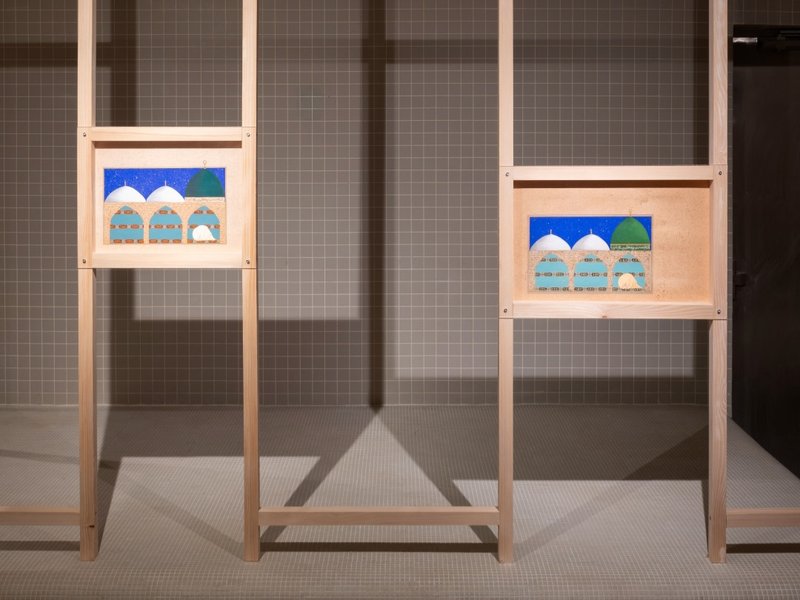گل رز جریکو، نمای چیدمان