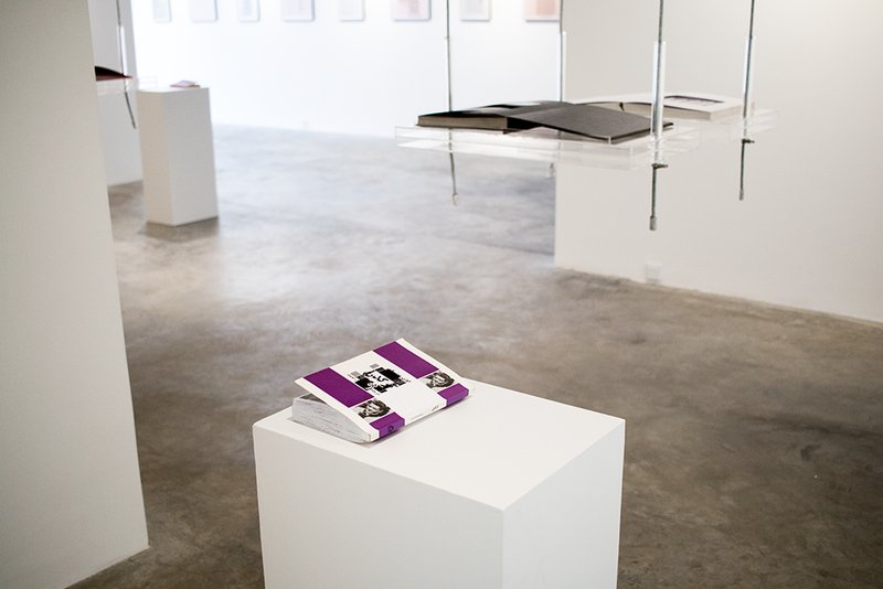 The Metamorphosis, installation view