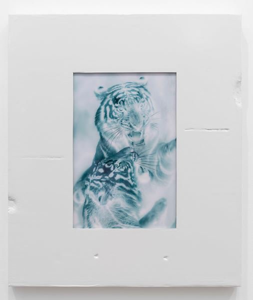 Shahryar Nashat, Untitled, 2026
