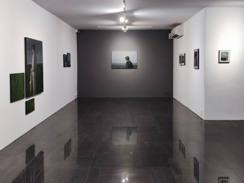 دشت گریان، نمای چیدمان