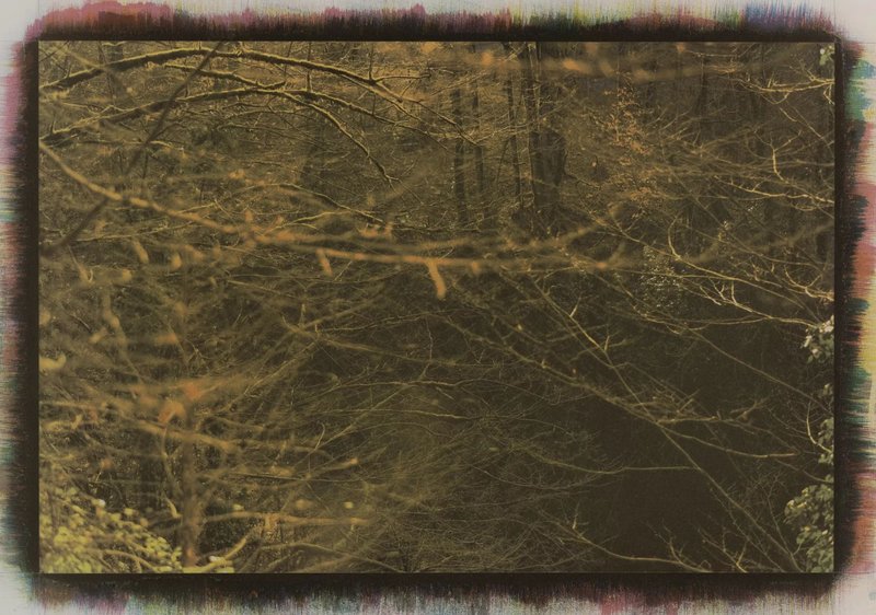 Mehrali Razaghmanesh, Untitled, 2020