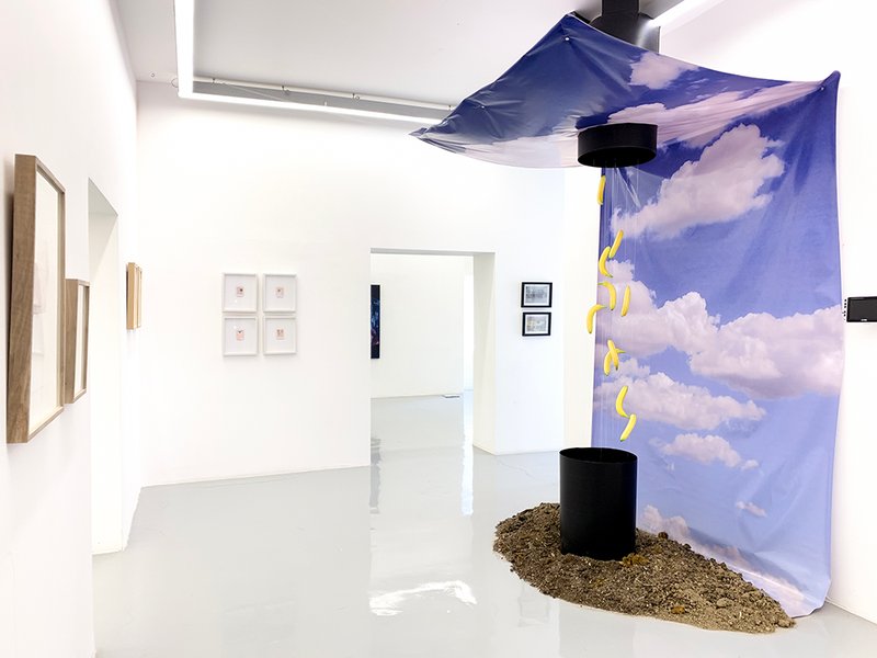 Photogenic, installation view