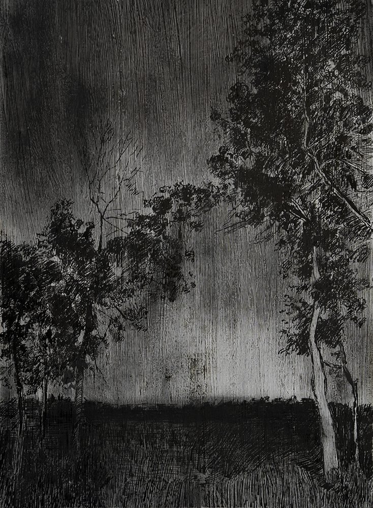 Samaneh Samimi, Untitled, 2019