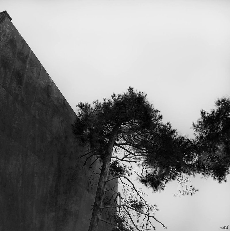 Gelareh Goudarzi, Untitled, 0