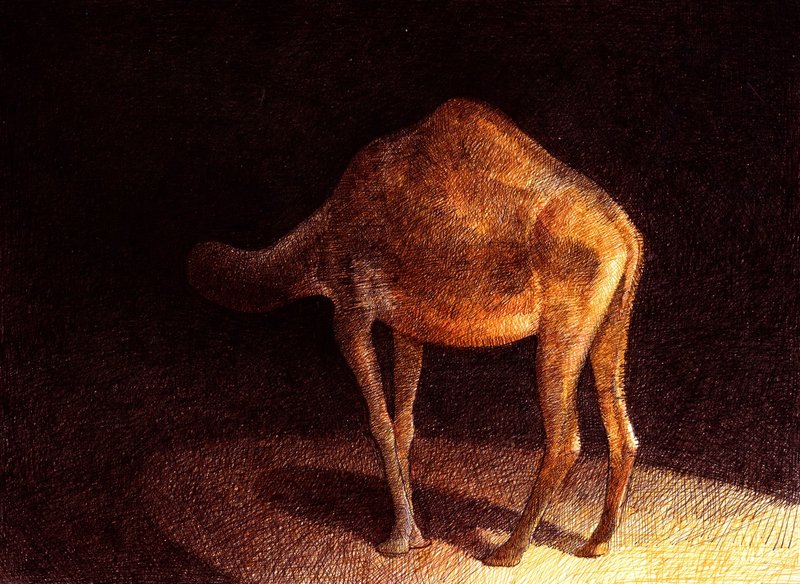 Mirmohamad Fatahi, Window, 2020