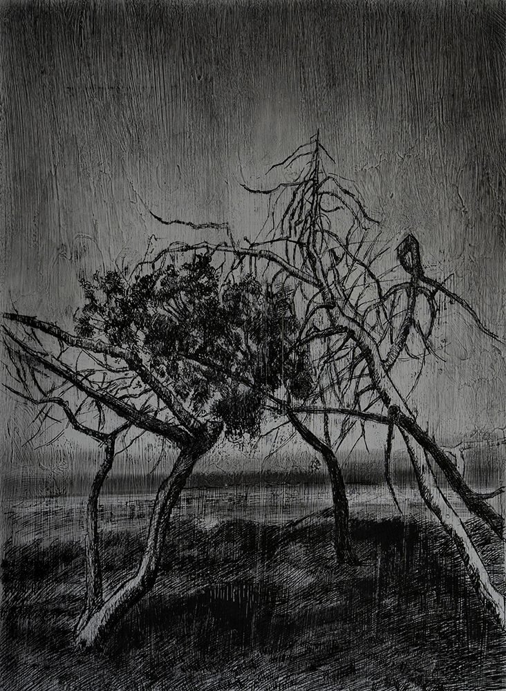 Samaneh Samimi, Untitled, 2021