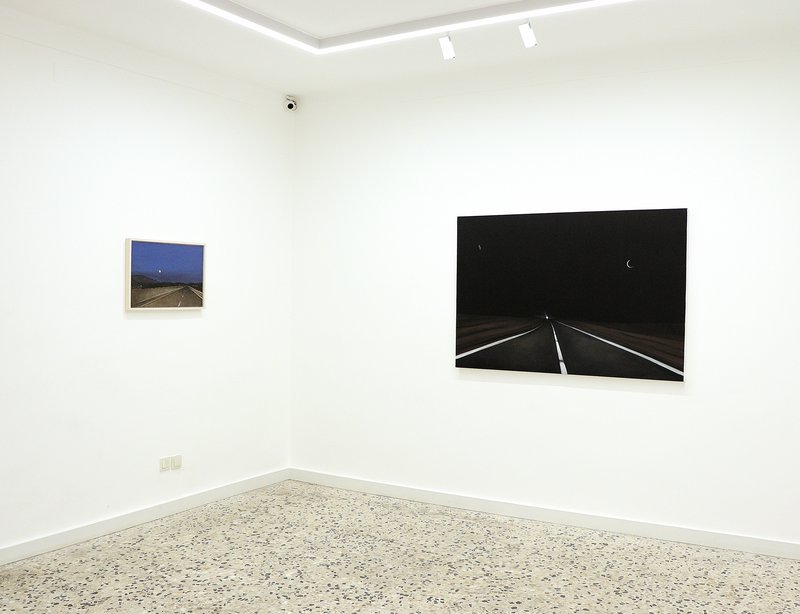 Companion, installation view