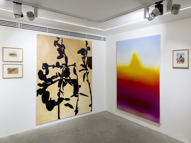 The Joy of Painting, installation view