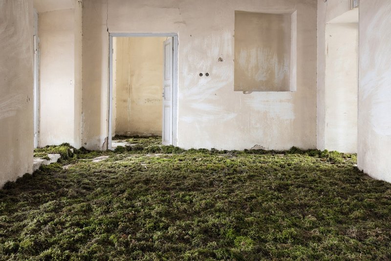 Gohar Dashti, Home, 2017