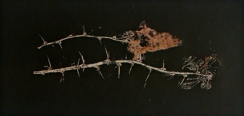 Untitled, 0