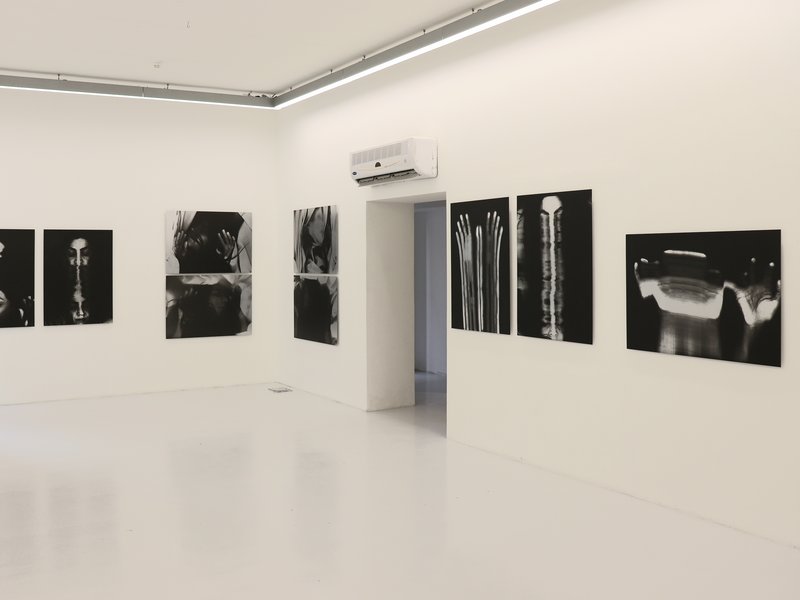 Living Creature, installation view