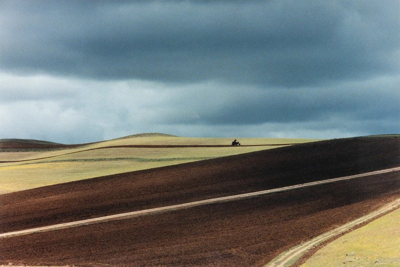 Abbas Kiarostami, Untitled, 2000