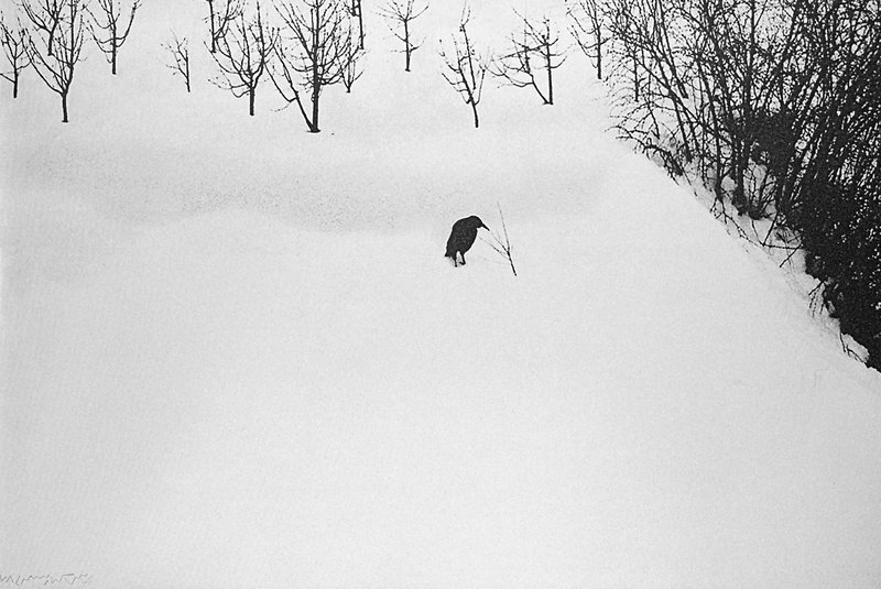Abbas Kiarostami, Snow White, 2010