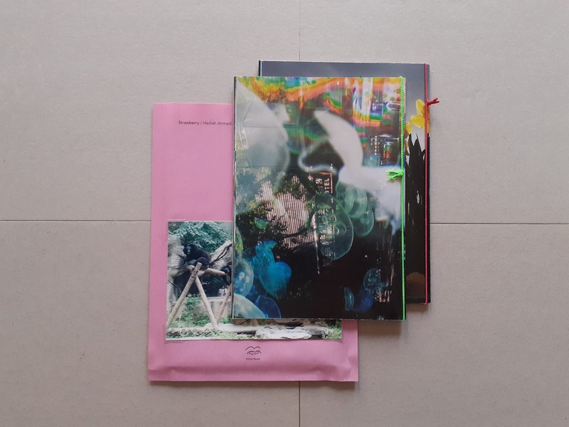 Hedieh Ahmadi, Strawberry, 2019
