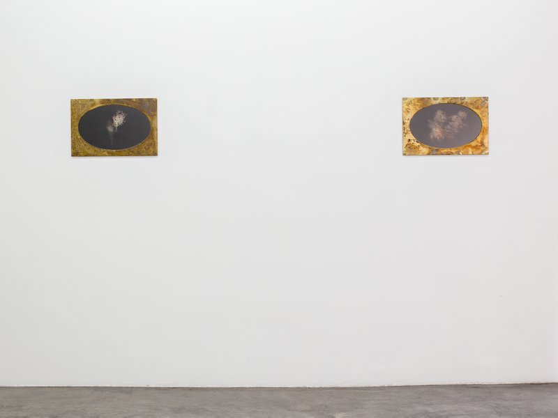 Annotations for Laili, installation view