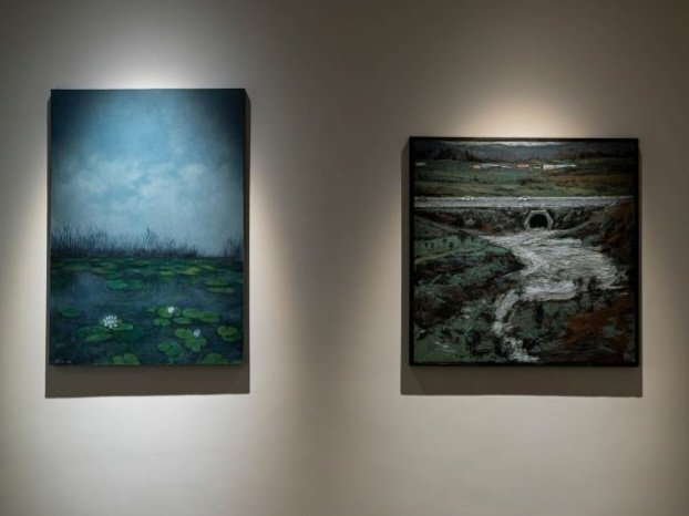 Beyond a Canvas: Eyes on the Work of Nature, installation view