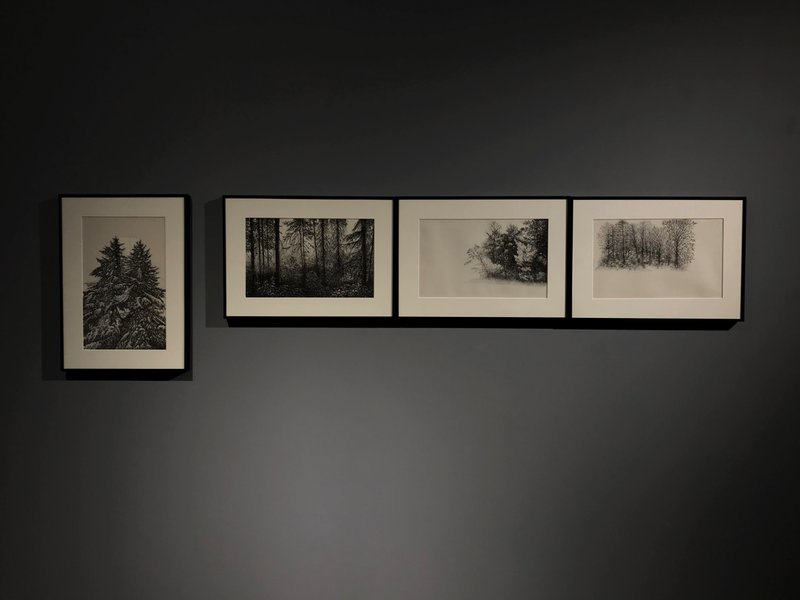 Trio No.5, installation view