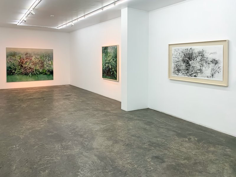 The Washed Light, installation view