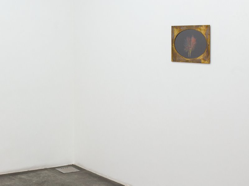 Annotations for Laili, installation view