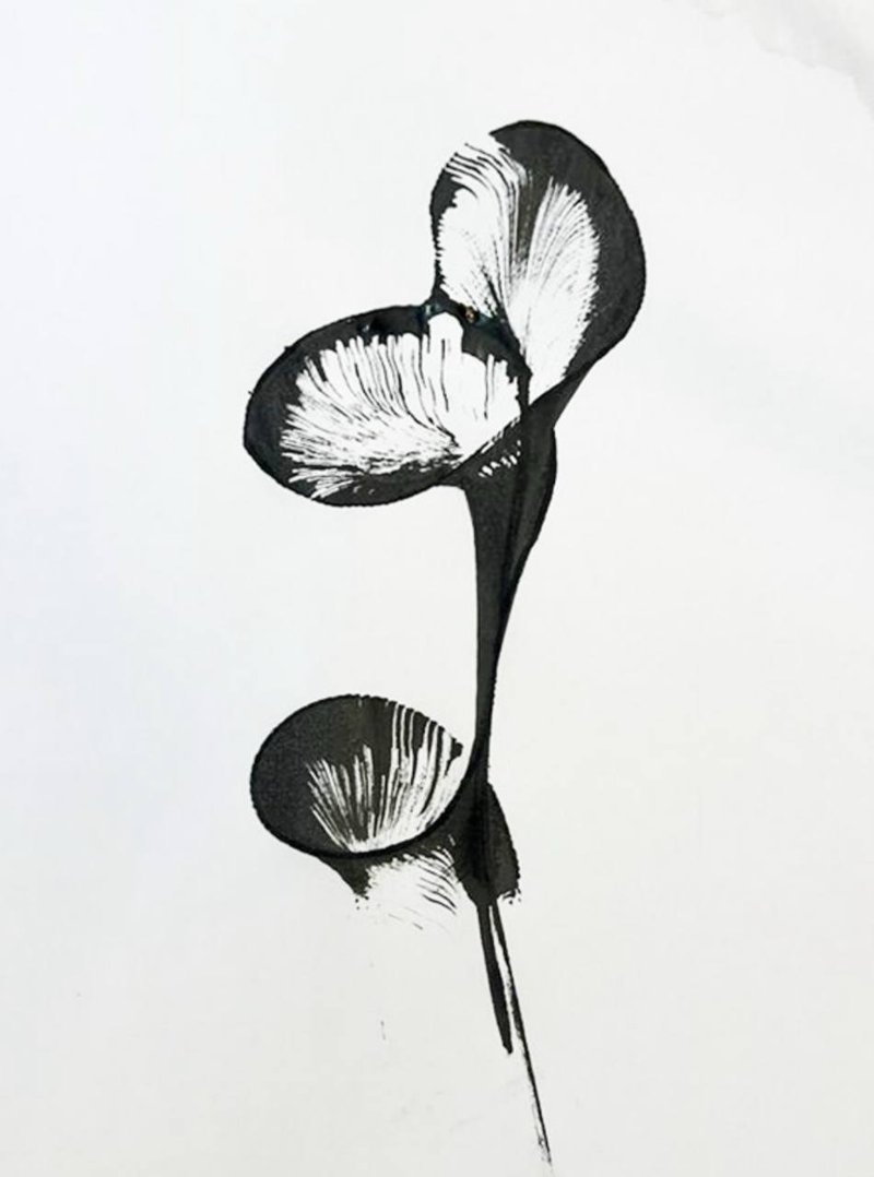 Mohammad Mardi, Untitled, 0