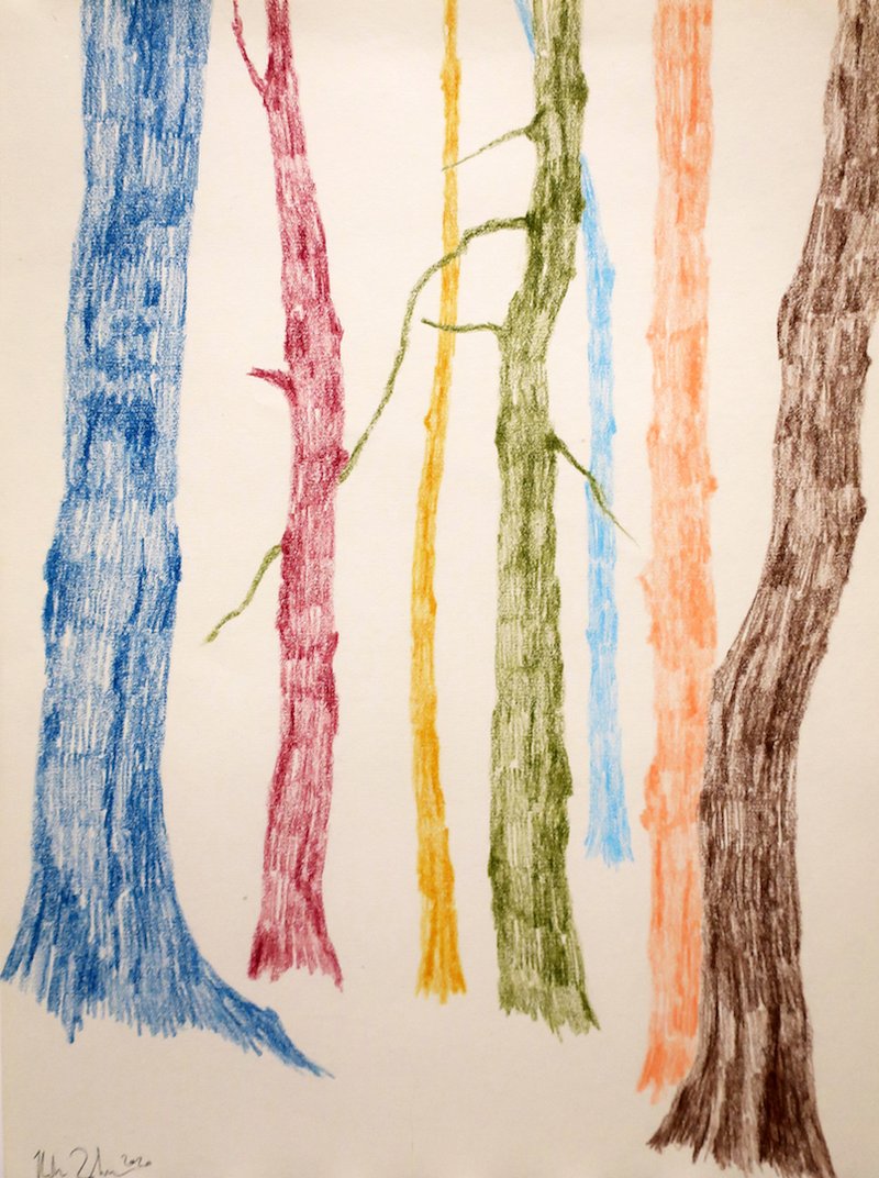 Neda Zarfsaz, Branches of leaves 12, 2020