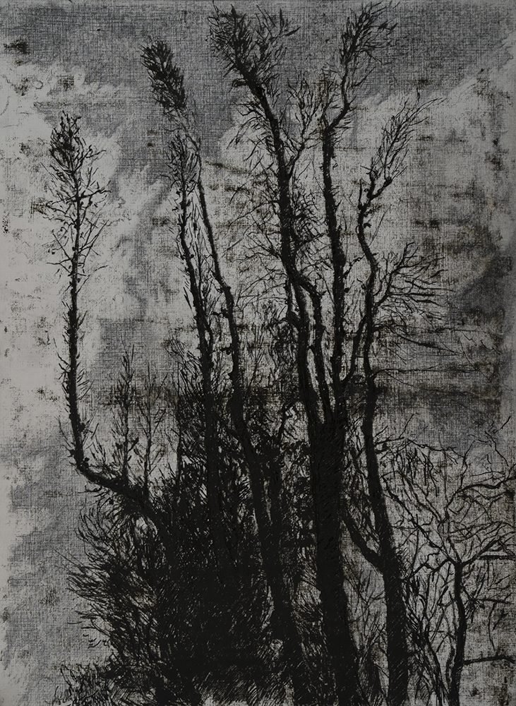 Samaneh Samimi, Untitled, 2019