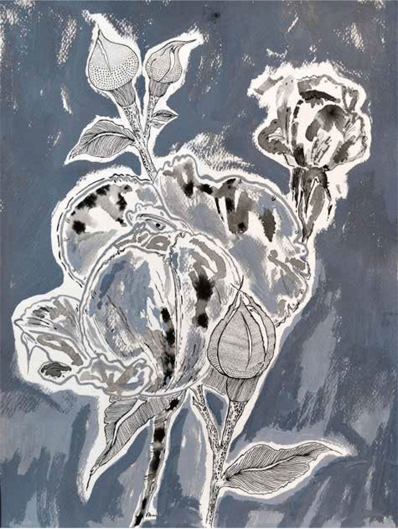 Shirin Karami Mofrad, Untitled, 2024