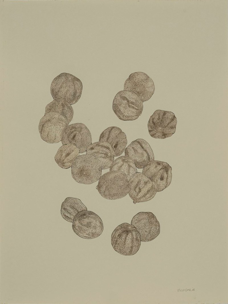 Afsaneh Moradi, Untitled, 2022