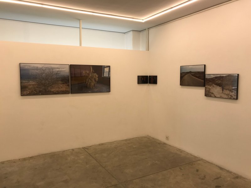 Cold Soil Red Soil, installation view